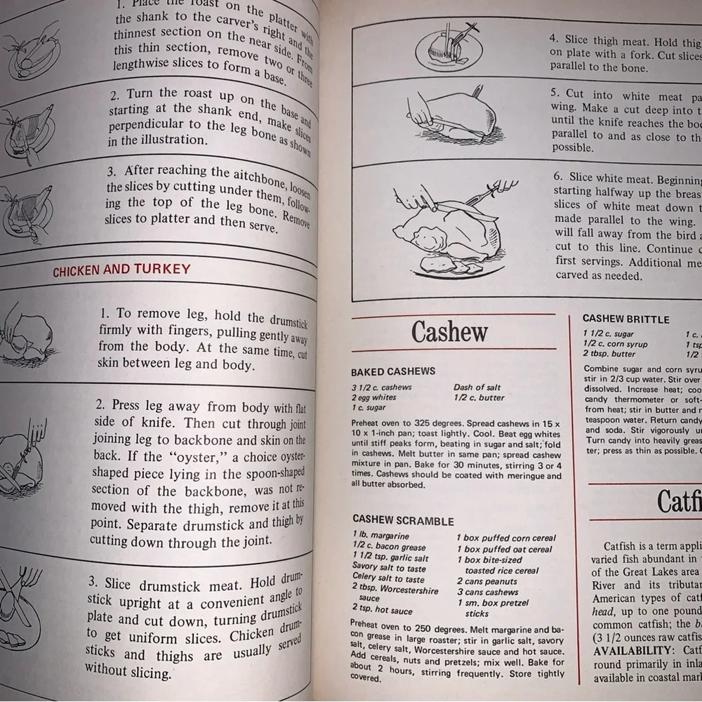 Cookbook The Illustrated Encyclopedia of American Cooking Book Recipes 960 Pages
